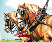 Draft Horse, Equine Art - Two Horsepower